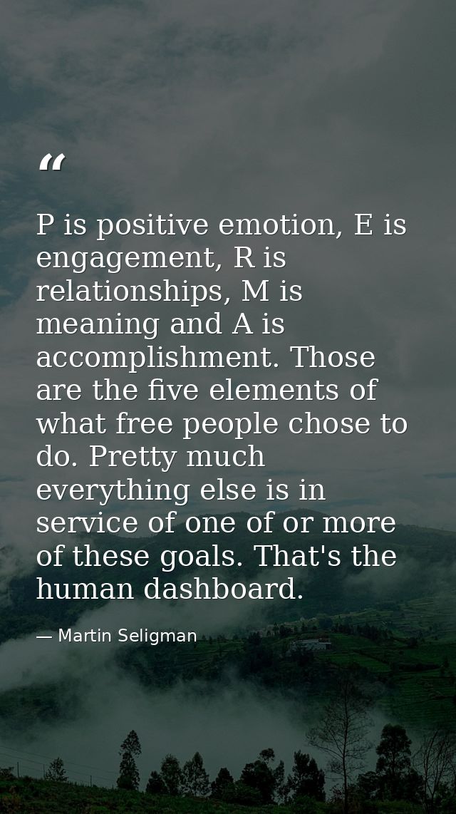 P is positive emotion, E is engagement, R is relationships, M is meaning and A is accomplishment. Those are the five ele — Martin Seligman