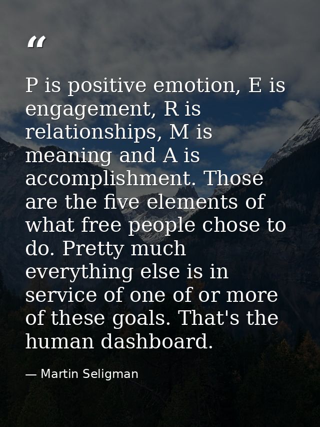 P is positive emotion, E is engagement, R is relationships, M is meaning and A is accomplishment. Those are the five ele — Martin Seligman