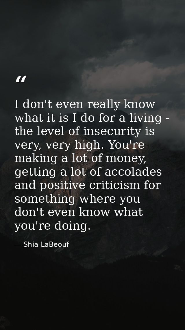 I don't even really know what it is I do for a living - the level of insecurity is very, very high. You're making a lot  — Shia LaBeouf