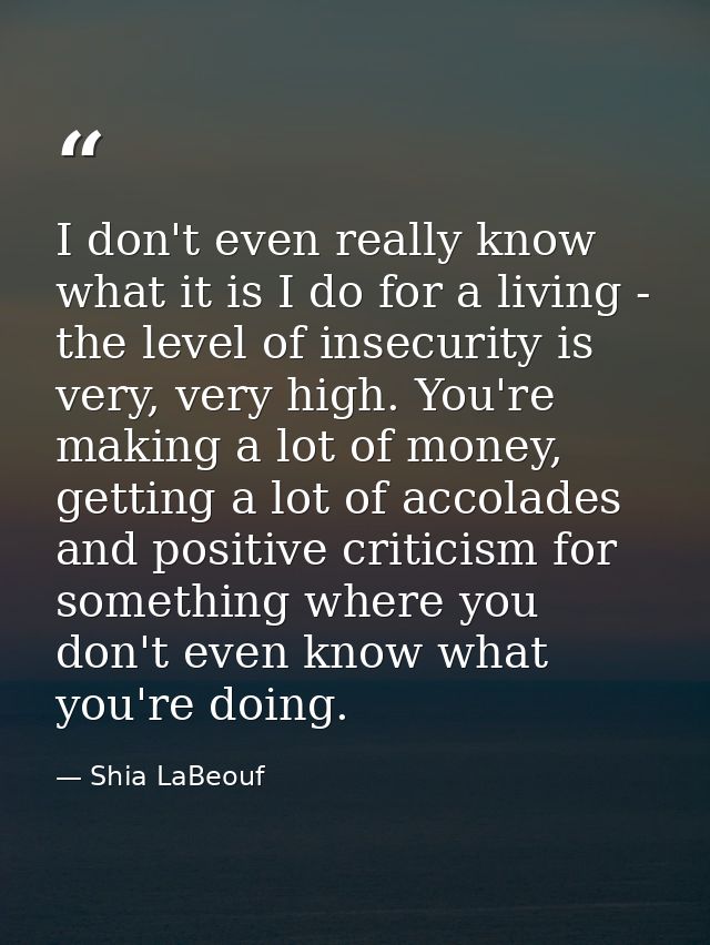 I don't even really know what it is I do for a living - the level of insecurity is very, very high. You're making a lot  — Shia LaBeouf