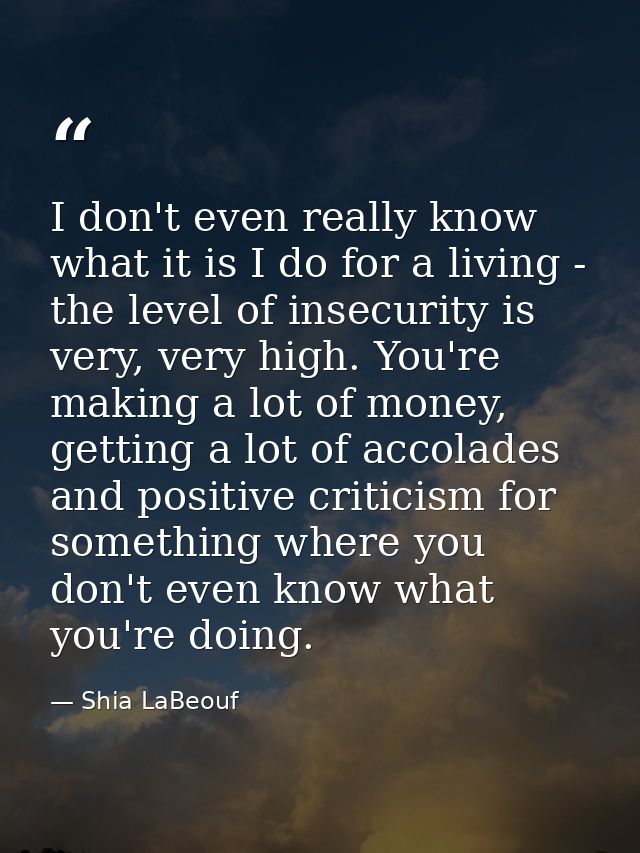 I don't even really know what it is I do for a living - the level of insecurity is very, very high. You're making a lot  — Shia LaBeouf