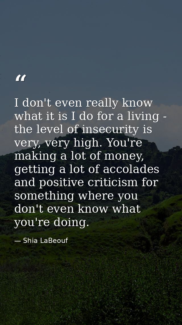 I don't even really know what it is I do for a living - the level of insecurity is very, very high. You're making a lot  — Shia LaBeouf
