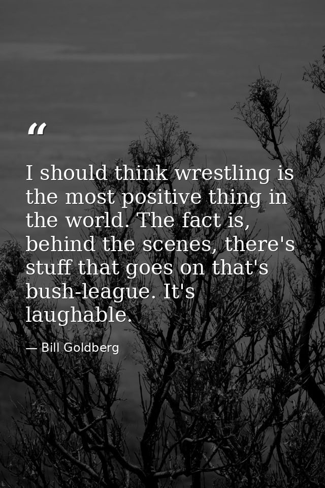 I should think wrestling is the most positive thing in the world. The fact is, behind the scenes, there's stuff that goe — Bill Goldberg