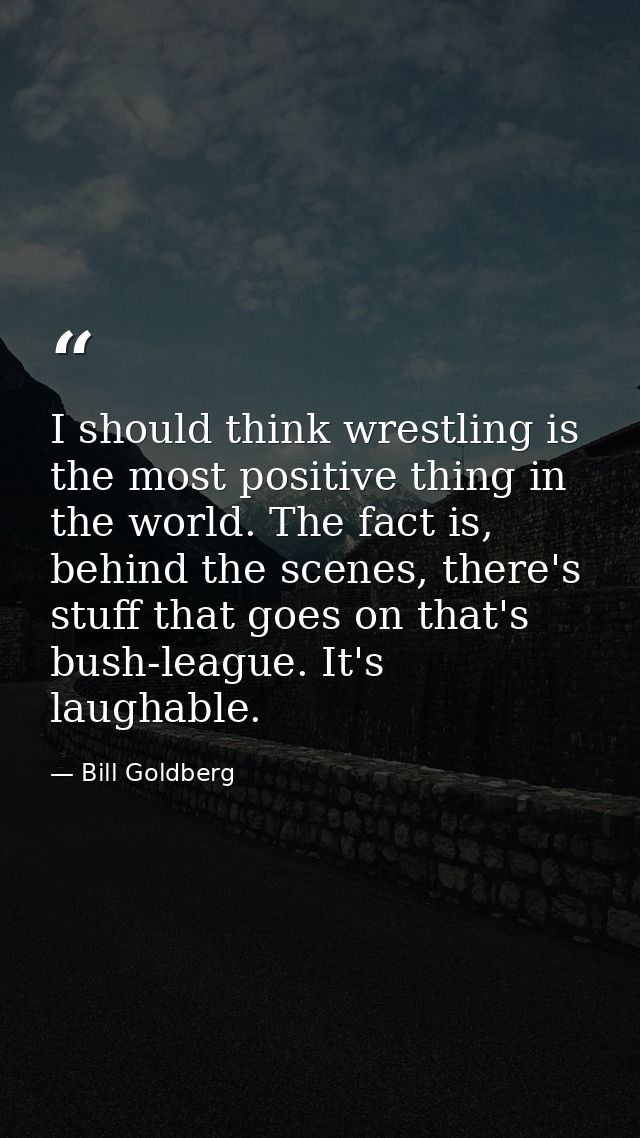 I should think wrestling is the most positive thing in the world. The fact is, behind the scenes, there's stuff that goe — Bill Goldberg