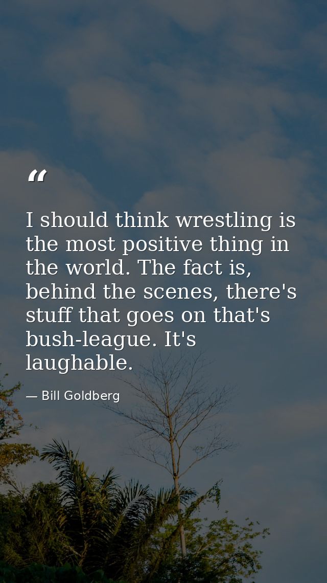 I should think wrestling is the most positive thing in the world. The fact is, behind the scenes, there's stuff that goe — Bill Goldberg