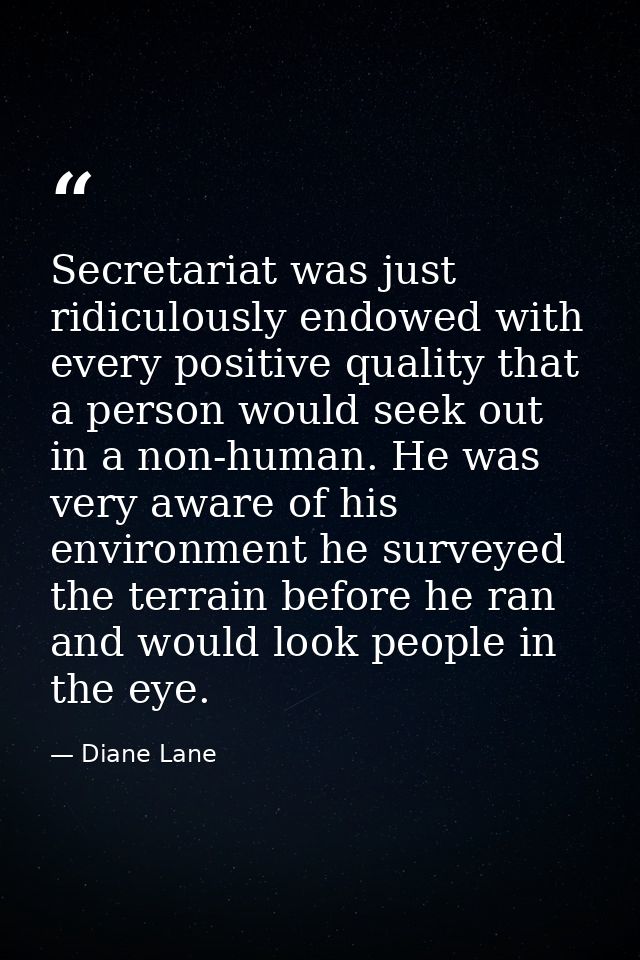 Secretariat was just ridiculously endowed with every positive quality that a person would seek out in a non-human. He wa — Diane Lane