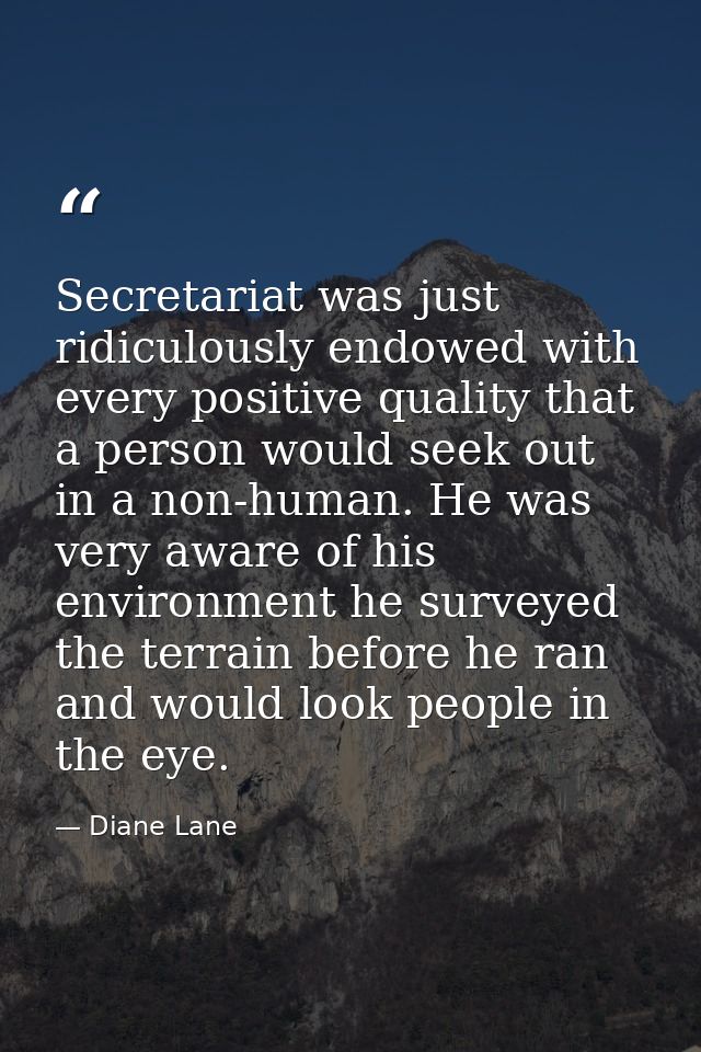 Secretariat was just ridiculously endowed with every positive quality that a person would seek out in a non-human. He wa — Diane Lane
