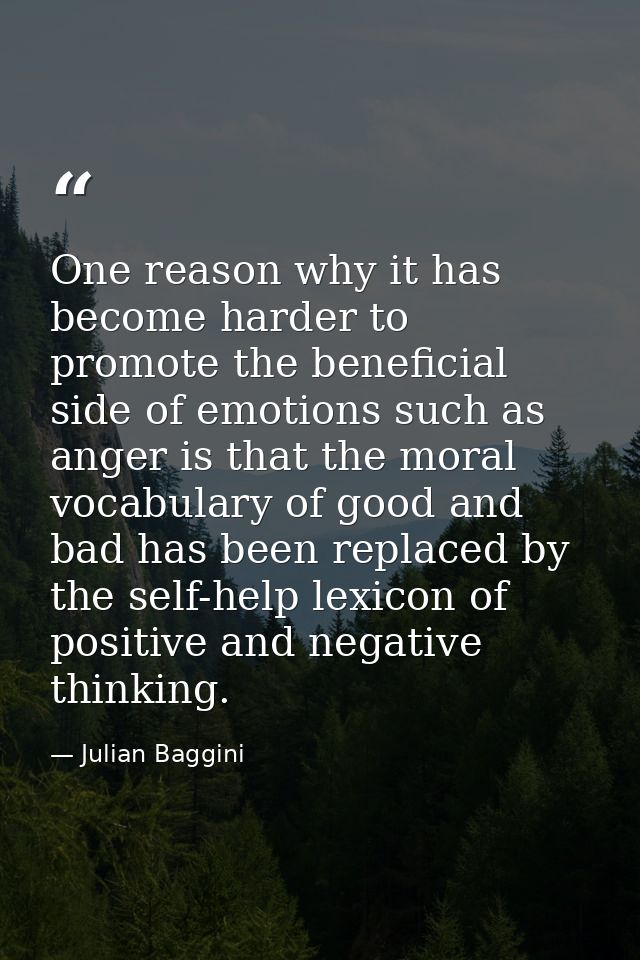 One reason why it has become harder to promote the beneficial side of emotions such as anger is that the moral vocabular — Julian Baggini