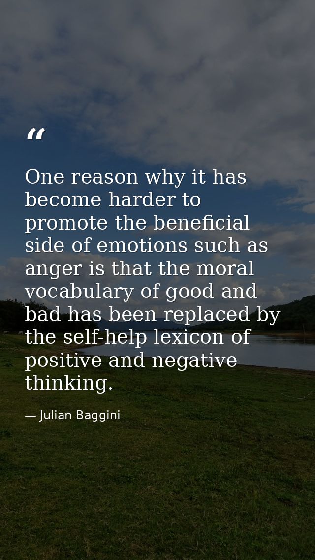 One reason why it has become harder to promote the beneficial side of emotions such as anger is that the moral vocabular — Julian Baggini