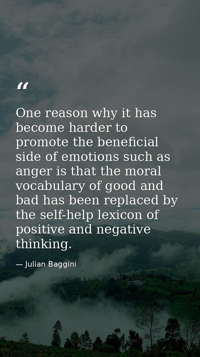 One reason why it has become harder to promote the beneficial side of emotions such as anger is that the moral vocabular — Julian Baggini