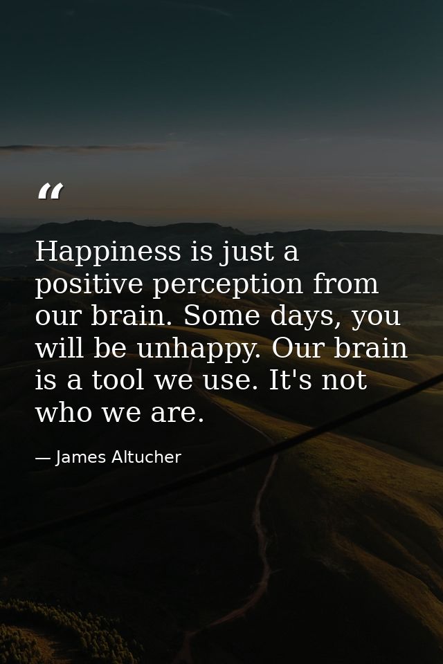 Happiness is just a positive perception from our brain. Some days, you will be unhappy. Our brain is a tool we use. It's — James Altucher
