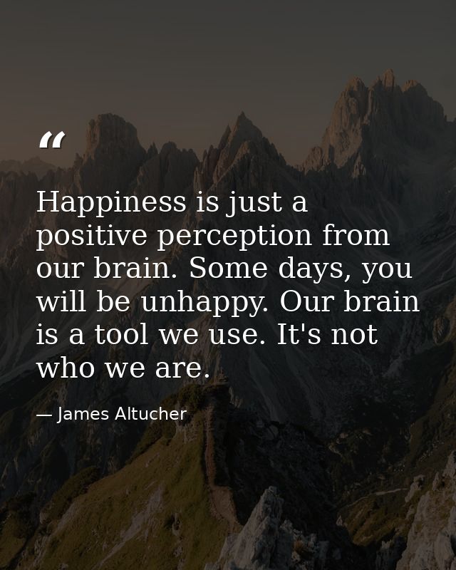 Happiness is just a positive perception from our brain. Some days, you will be unhappy. Our brain is a tool we use. It's — James Altucher