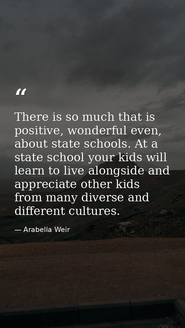 There is so much that is positive, wonderful even, about state schools. At a state school your kids will learn to live a — Arabella Weir