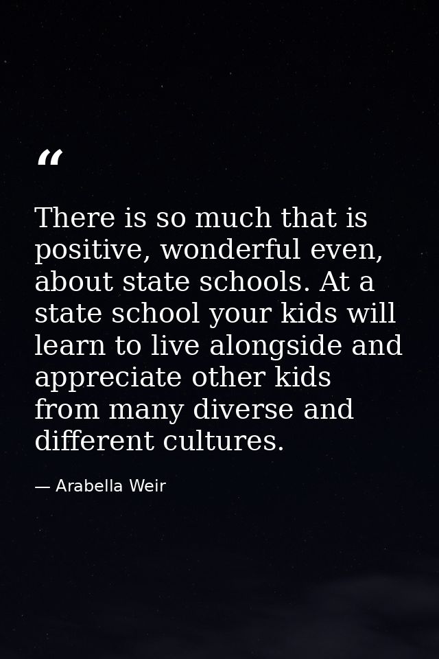 There is so much that is positive, wonderful even, about state schools. At a state school your kids will learn to live a — Arabella Weir
