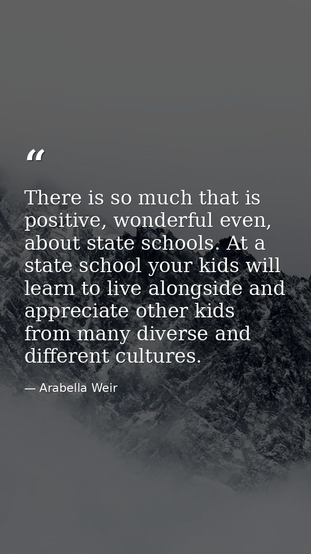 There is so much that is positive, wonderful even, about state schools. At a state school your kids will learn to live a — Arabella Weir