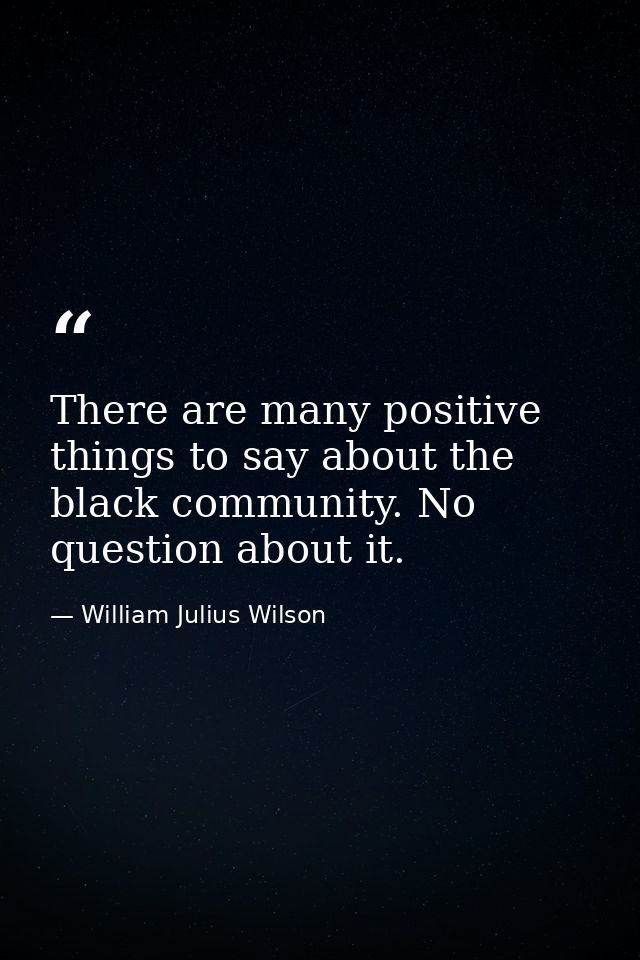 There are many positive things to say about the black community. No question about it. — William Julius Wilson