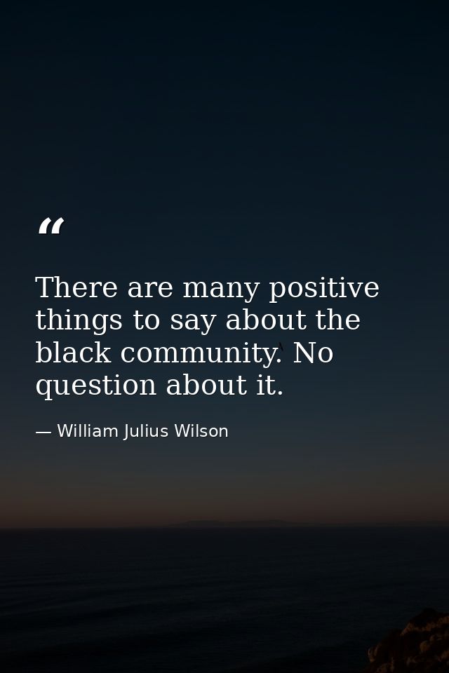 There are many positive things to say about the black community. No question about it. — William Julius Wilson