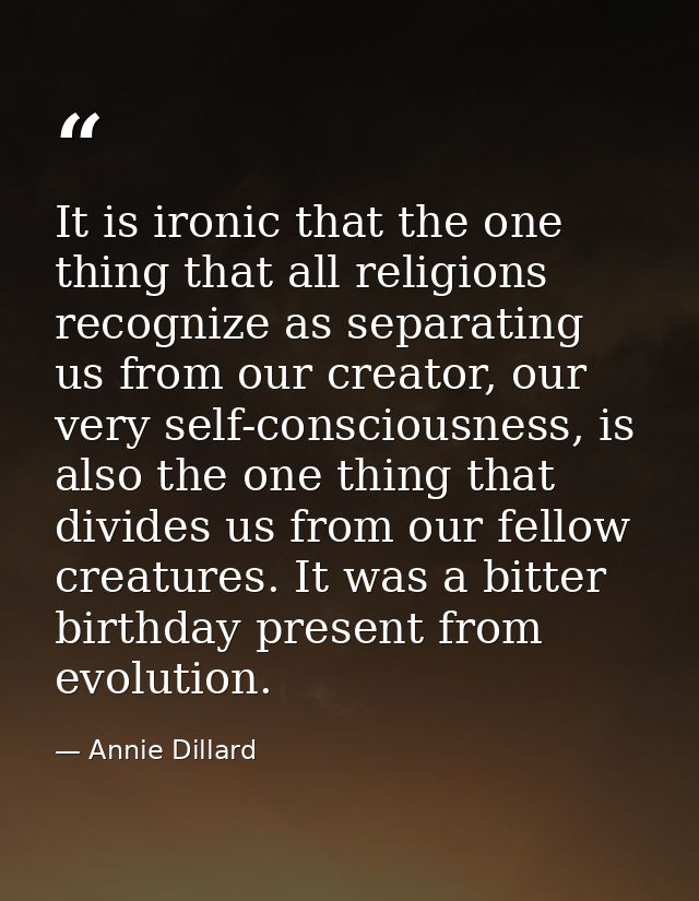 It is ironic that the one thing that all religions recognize as separating us from our creator, our very self-consciousn — Annie Dillard