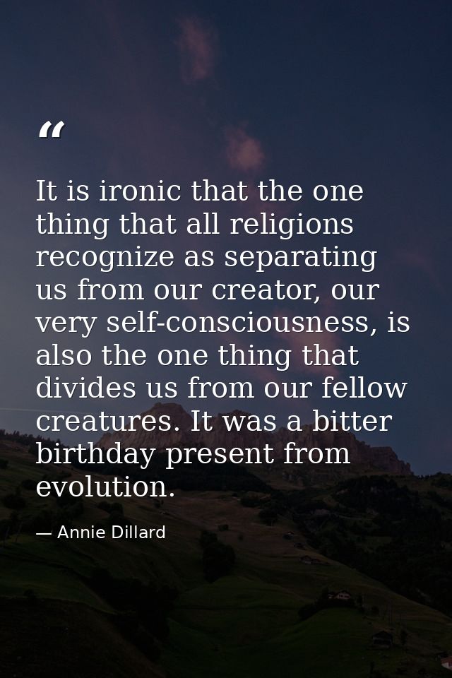 It is ironic that the one thing that all religions recognize as separating us from our creator, our very self-consciousn — Annie Dillard