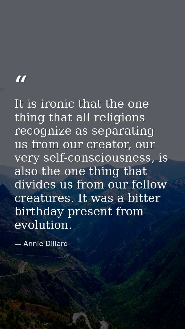 It is ironic that the one thing that all religions recognize as separating us from our creator, our very self-consciousn — Annie Dillard