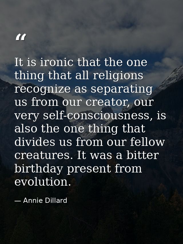 It is ironic that the one thing that all religions recognize as separating us from our creator, our very self-consciousn — Annie Dillard