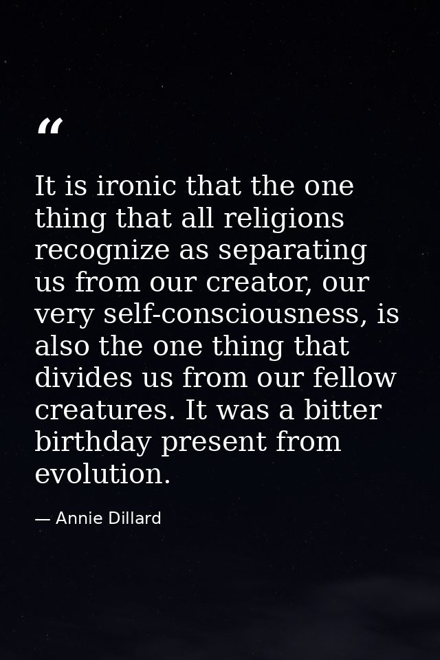 It is ironic that the one thing that all religions recognize as separating us from our creator, our very self-consciousn — Annie Dillard