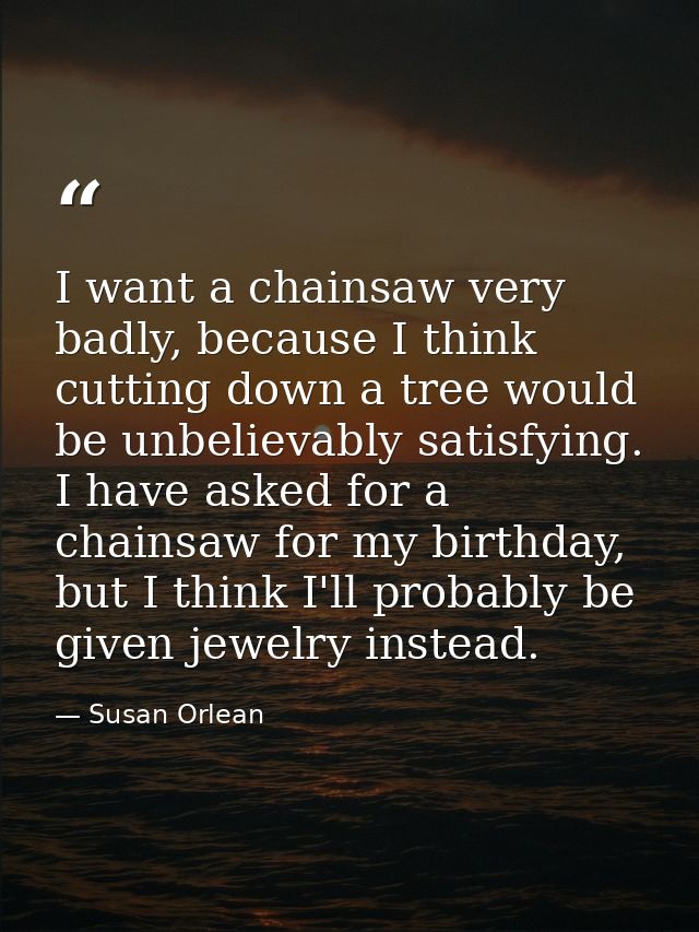 I want a chainsaw very badly, because I think cutting down a tree would be unbelievably satisfying. I have asked for a c — Susan Orlean