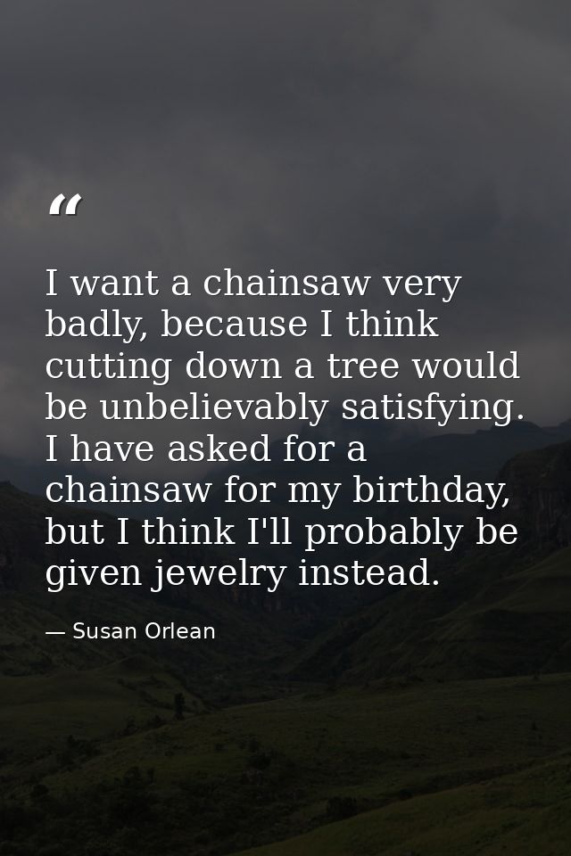 I want a chainsaw very badly, because I think cutting down a tree would be unbelievably satisfying. I have asked for a c — Susan Orlean