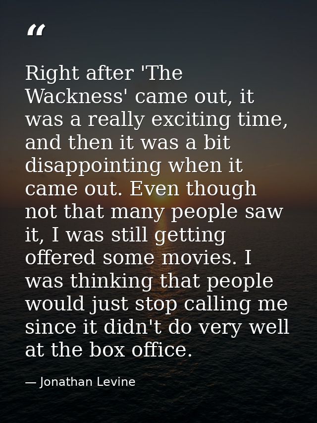 Right after 'The Wackness' came out, it was a really exciting time, and then it was a bit disappointing when it came out — Jonathan Levine