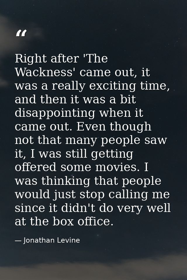 Right after 'The Wackness' came out, it was a really exciting time, and then it was a bit disappointing when it came out — Jonathan Levine