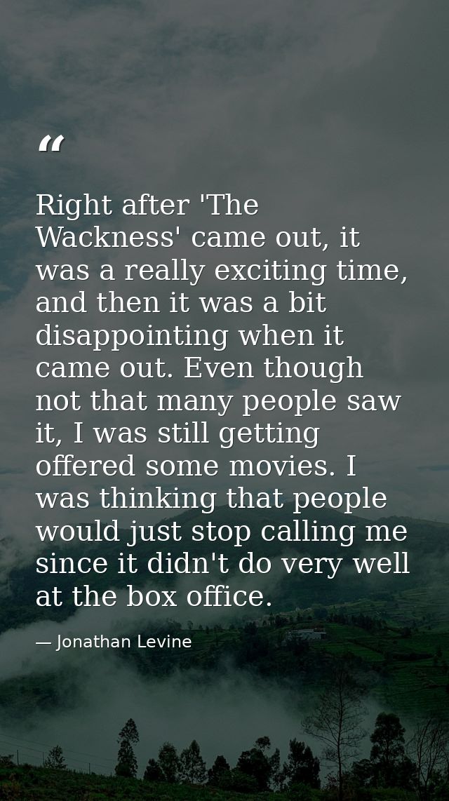 Right after 'The Wackness' came out, it was a really exciting time, and then it was a bit disappointing when it came out — Jonathan Levine