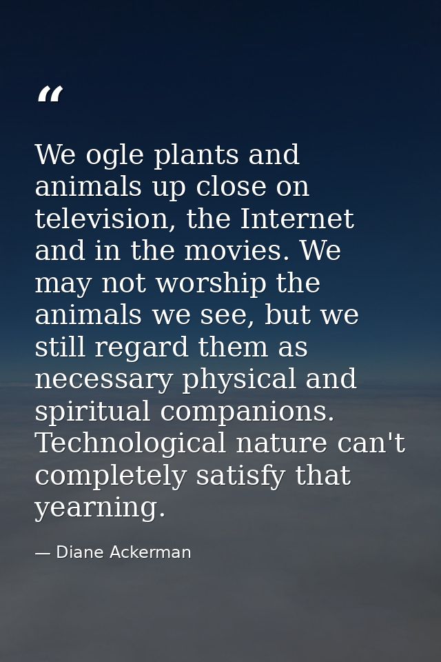 We ogle plants and animals up close on television, the Internet and in the movies. We may not worship the animals we see — Diane Ackerman
