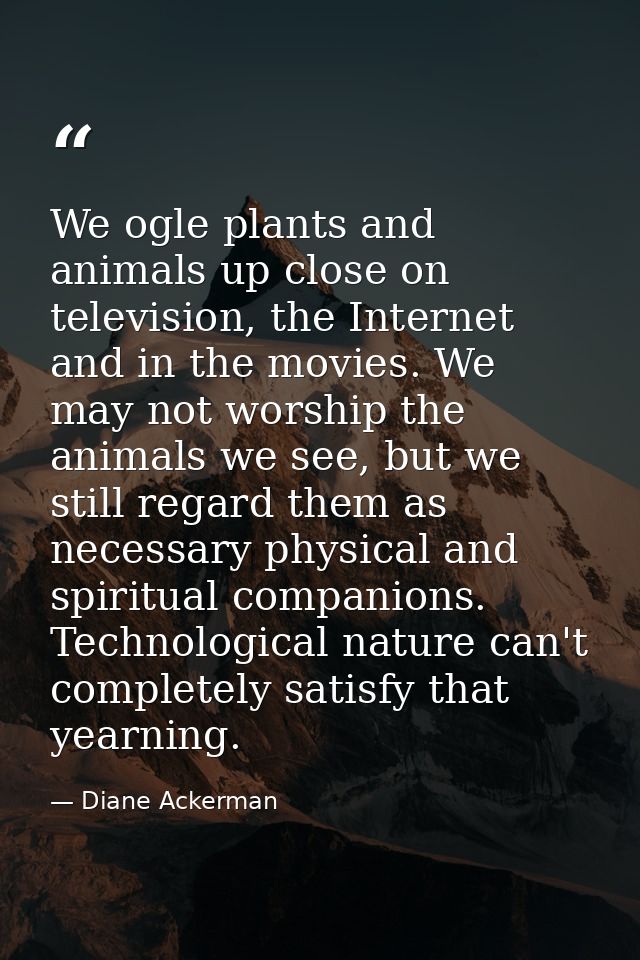 We ogle plants and animals up close on television, the Internet and in the movies. We may not worship the animals we see — Diane Ackerman