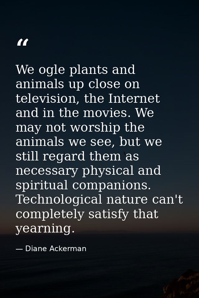 We ogle plants and animals up close on television, the Internet and in the movies. We may not worship the animals we see — Diane Ackerman