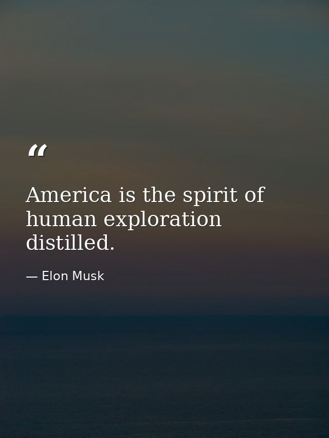 America is the spirit of human exploration distilled. — Elon Musk