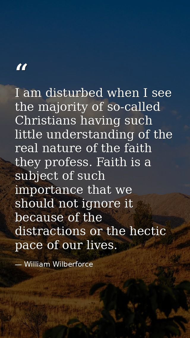 I am disturbed when I see the majority of so-called Christians having such little understanding of the real nature of th — William Wilberforce