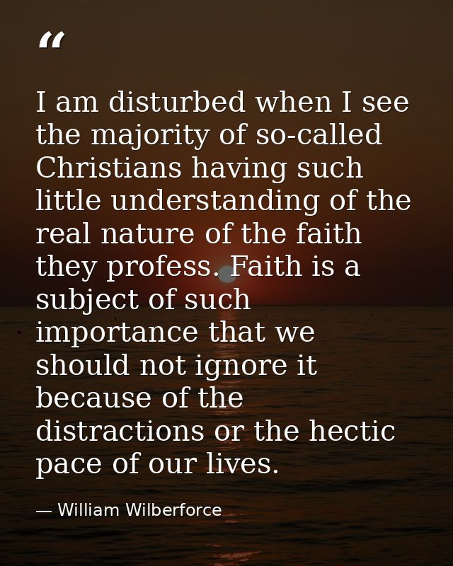 I am disturbed when I see the majority of so-called Christians having such little understanding of the real nature of th — William Wilberforce
