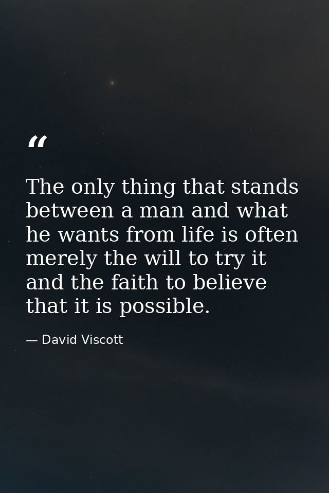 The only thing that stands between a man and what he wants from life is often merely the will to try it and the faith to — David Viscott