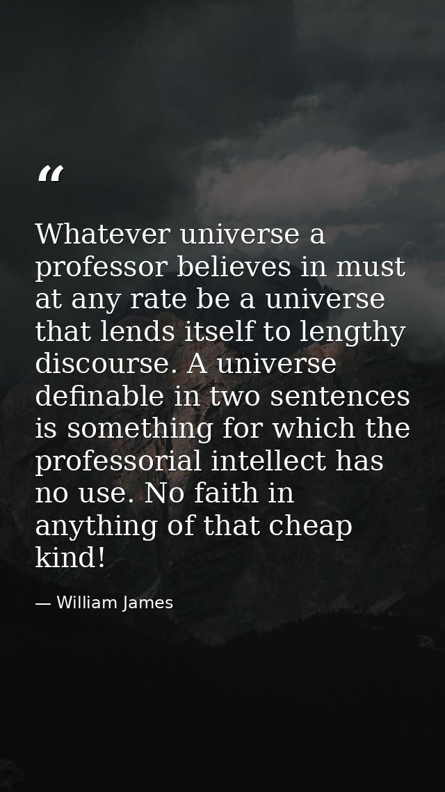 Whatever universe a professor believes in must at any rate be a universe that lends itself to lengthy discourse. A unive — William James
