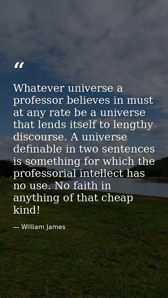 Whatever universe a professor believes in must at any rate be a universe that lends itself to lengthy discourse. A unive — William James