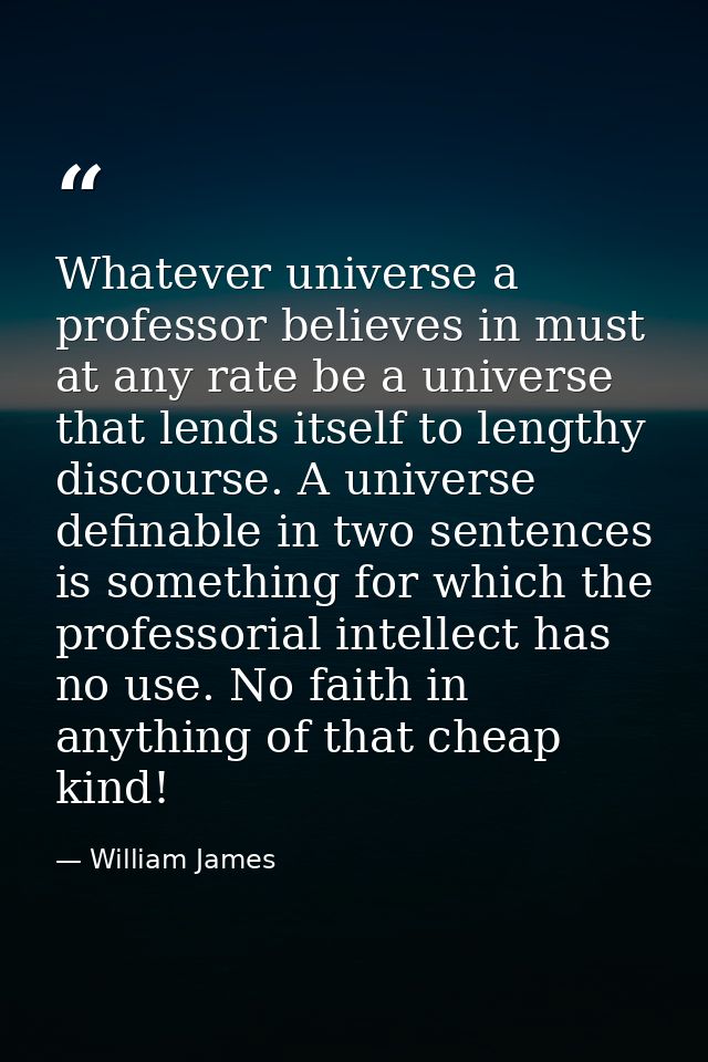 Whatever universe a professor believes in must at any rate be a universe that lends itself to lengthy discourse. A unive — William James