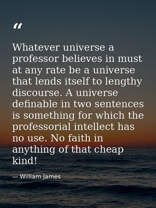 Whatever universe a professor believes in must at any rate be a universe that lends itself to lengthy discourse. A unive — William James