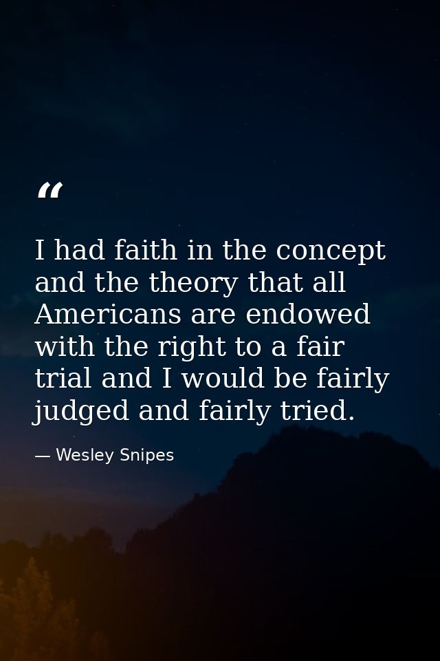I had faith in the concept and the theory that all Americans are endowed with the right to a fair trial and I would be f — Wesley Snipes