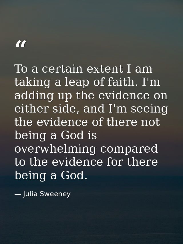 To a certain extent I am taking a leap of faith. I'm adding up the evidence on either side, and I'm seeing the evidence  — Julia Sweeney