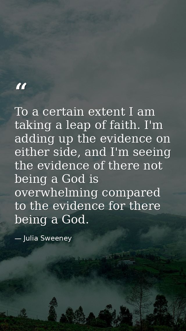 To a certain extent I am taking a leap of faith. I'm adding up the evidence on either side, and I'm seeing the evidence  — Julia Sweeney