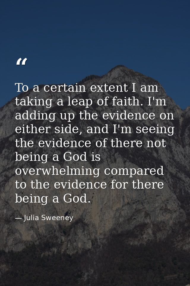 To a certain extent I am taking a leap of faith. I'm adding up the evidence on either side, and I'm seeing the evidence  — Julia Sweeney