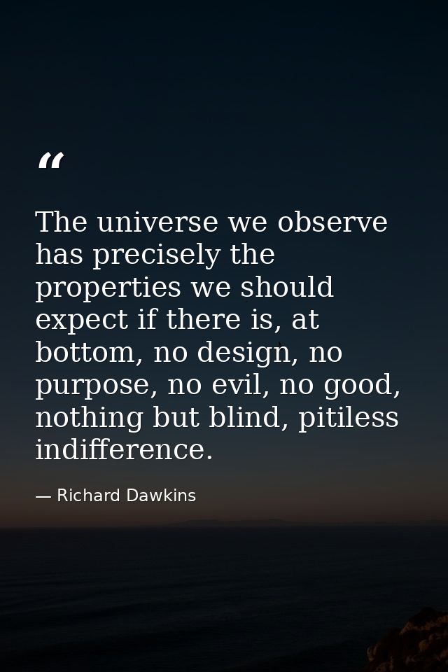 The universe we observe has precisely the properties we should expect if there is, at bottom, no design, no purpose, no  — Richard Dawkins