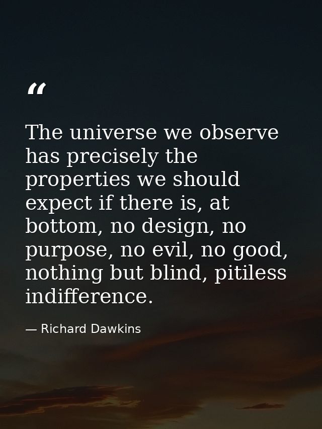 The universe we observe has precisely the properties we should expect if there is, at bottom, no design, no purpose, no  — Richard Dawkins