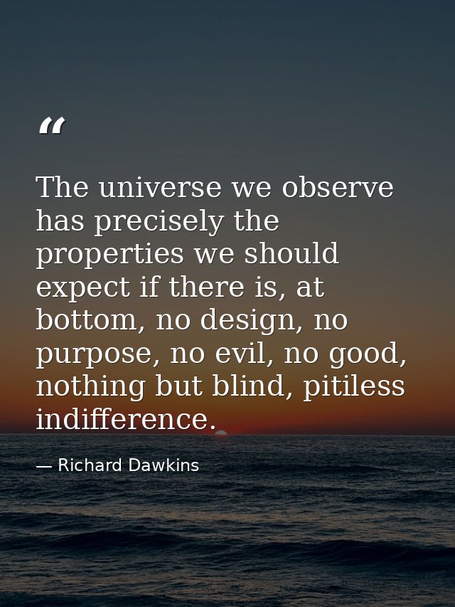 The universe we observe has precisely the properties we should expect if there is, at bottom, no design, no purpose, no  — Richard Dawkins