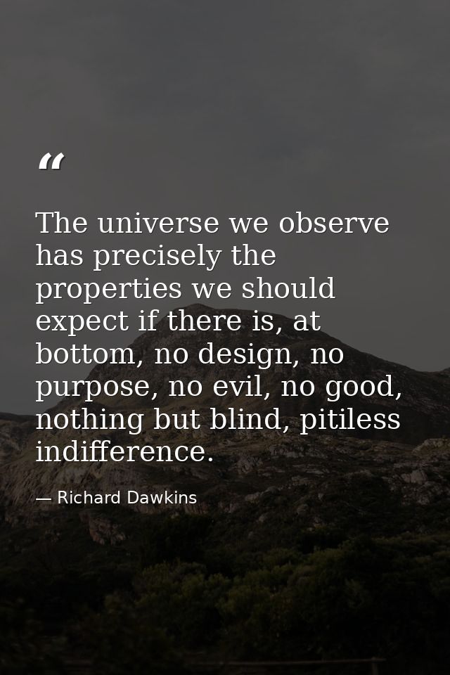 The universe we observe has precisely the properties we should expect if there is, at bottom, no design, no purpose, no  — Richard Dawkins